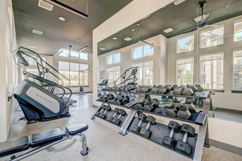 Fitness Center Weights